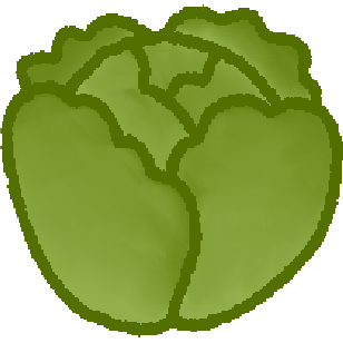 a simple drawing of a green cabbage.